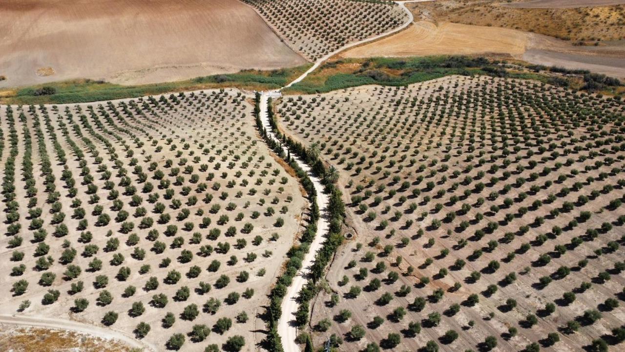Вилла Cortijo Donana Ла-Пуэбла-де-Касалья Экстерьер фото