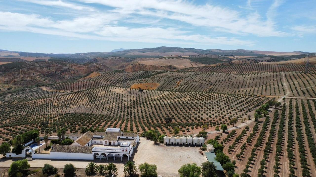 Вилла Cortijo Donana Ла-Пуэбла-де-Касалья Экстерьер фото
