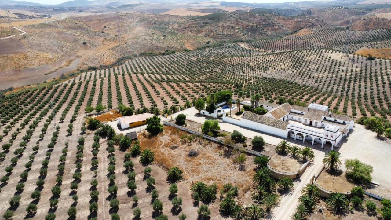 Вилла Cortijo Donana Ла-Пуэбла-де-Касалья Экстерьер фото